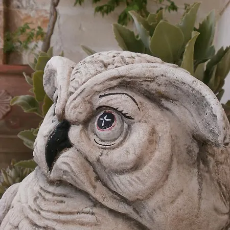 منزل ريفي Stella Dei Campi *