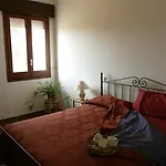 Stella Dei Campi