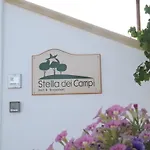 Stella Dei Campi