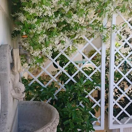 Stella Dei Campi * 스테르나티아