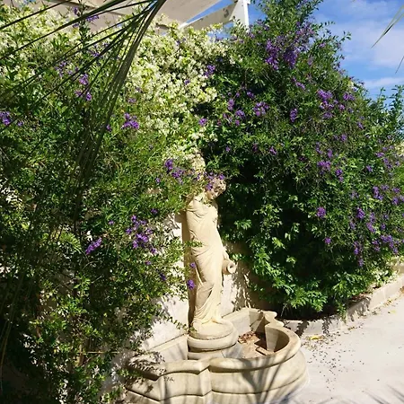 Stella Dei Campi * Sternatia
