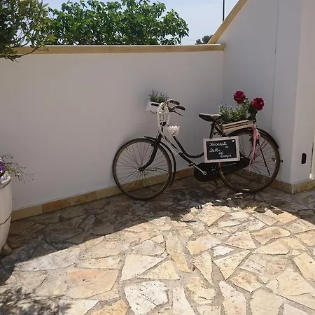 Stella Dei Campi * 스테르나티아