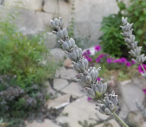 Casa di campagna Stella Dei Campi