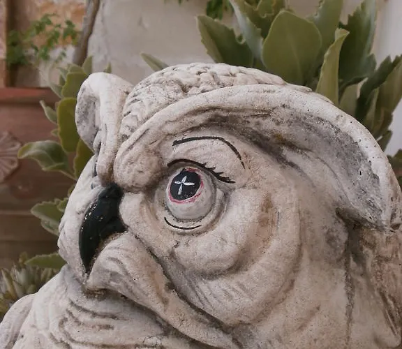 カントリーハウス Stella Dei Campi *