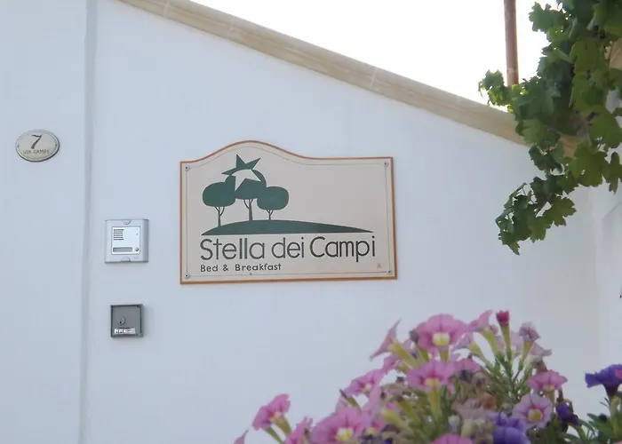 Stella Dei Campi